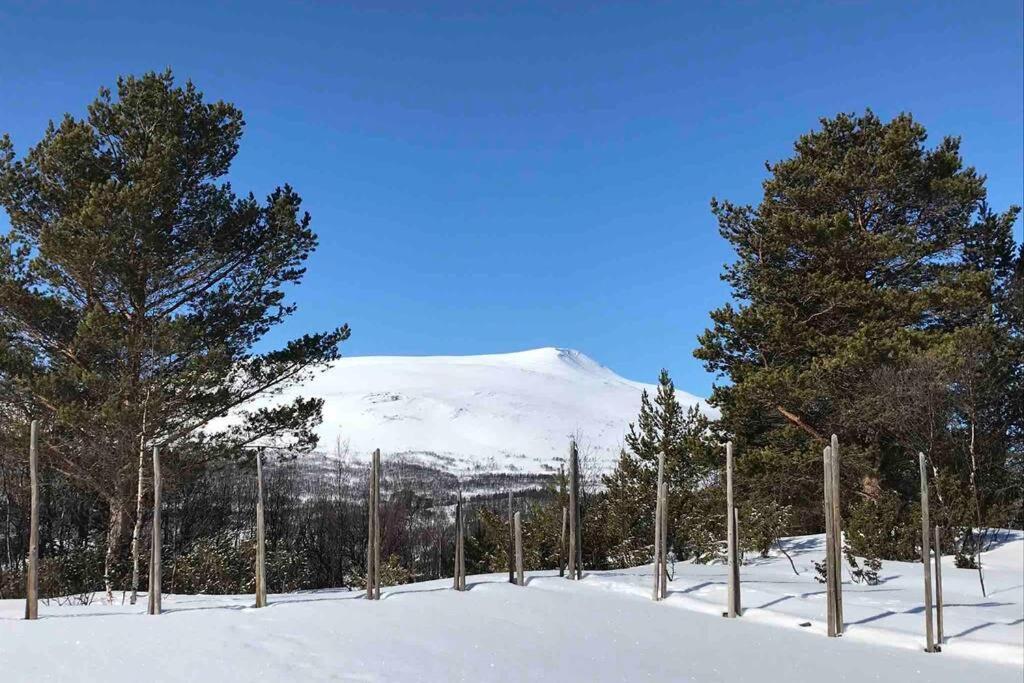 Fjellro Mountain Cabin Oppdal Exteriör bild